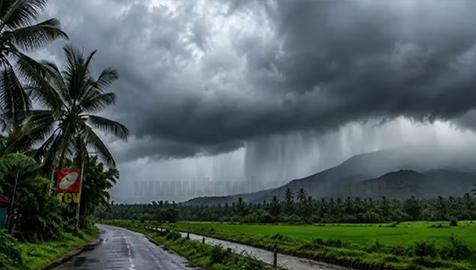 കാലവർഷം ദുർബലം; ഒന്നര മാസം പിന്നിടുമ്പോൾ കേരളത്തിൽ 32% മഴക്കുറവ്.
